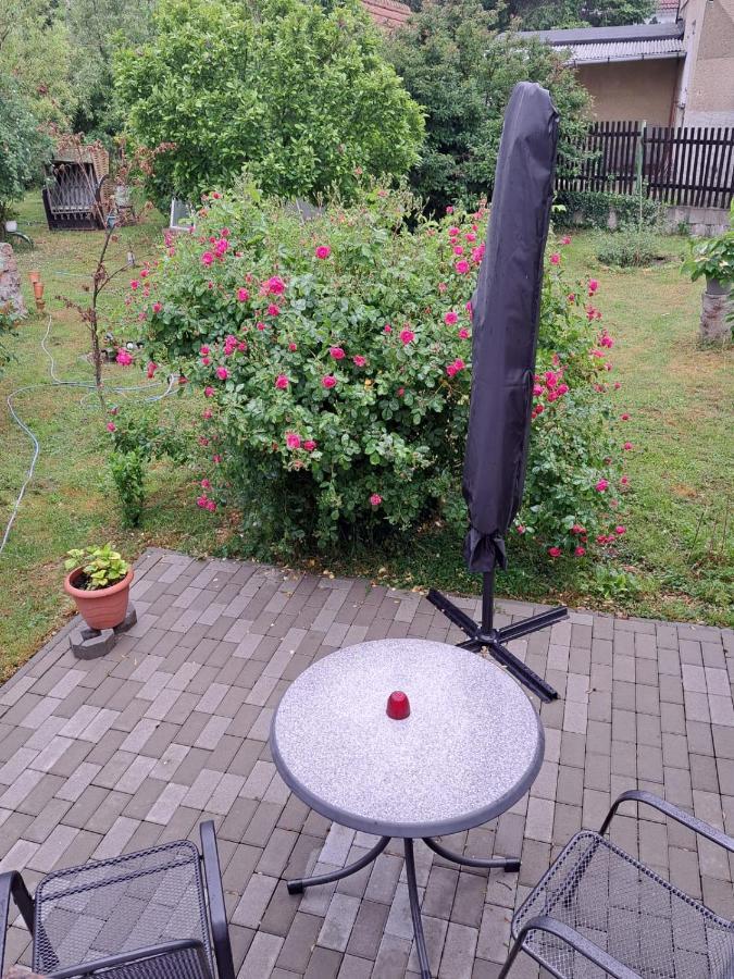 Ferienwohnung Rosengarten Ballenstedt Εξωτερικό φωτογραφία
