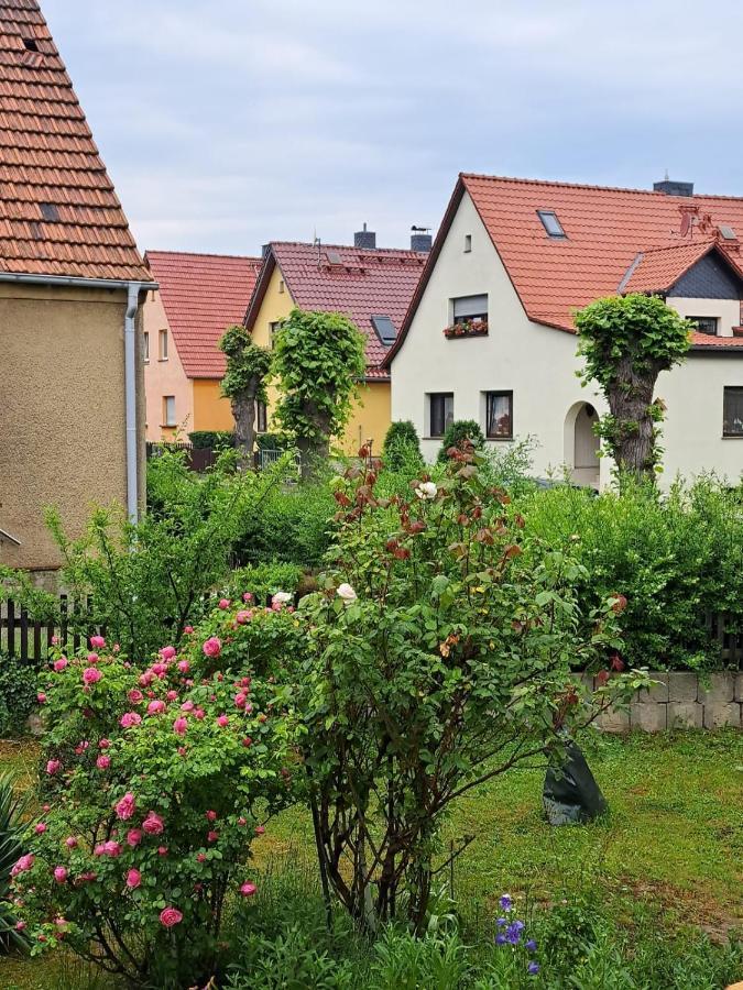 Ferienwohnung Rosengarten Ballenstedt Εξωτερικό φωτογραφία